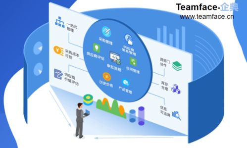 供应链视角下的供应商协同管理 策略、实施与价值创造